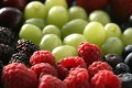 fruits