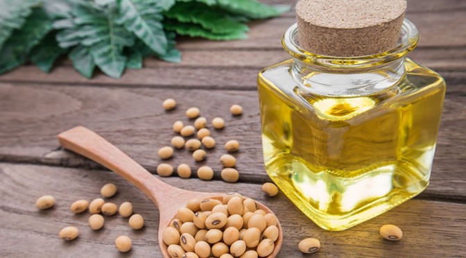 Soybean Oil Has Surprising Effects on Health