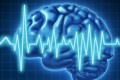 brain_signal