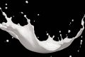 Milk