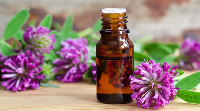 These Natural Remedies Can Reduce Menopausal Symptoms