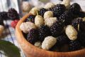 mulberries