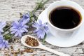 Chicory